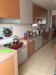 Blk 217 Petir Road (Bukit Panjang), HDB 4 Rooms #168217292